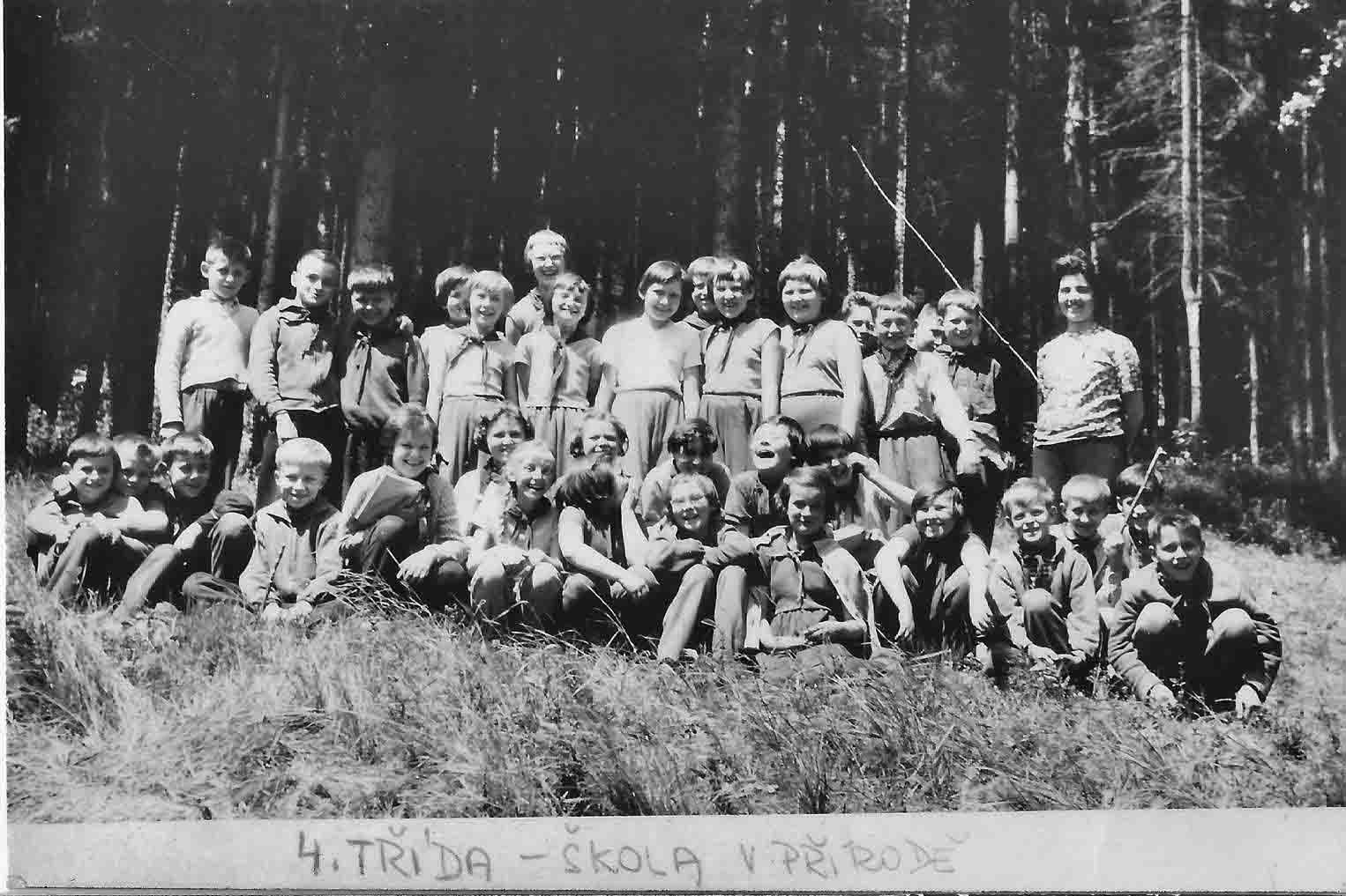 zdš-3h_2048
